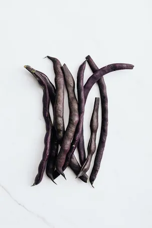 Imagen relacionada con el título: Leguminosas: claves para la agricultura y la salud del suelo