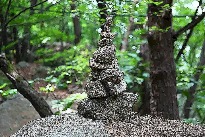 Imagen relacionada con el subtítulo h2: Características del método cualitativo