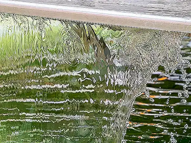 Imagen relacionada con el subtítulo h2: Características distintivas