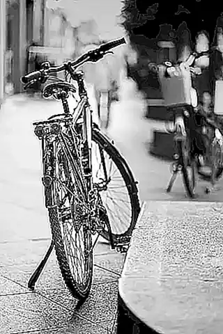 Imagen relacionada con el subtítulo h2: Ciclo de vida y metamorfosis