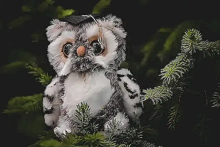 Imagen relacionada con el subtítulo h2: Conclusión