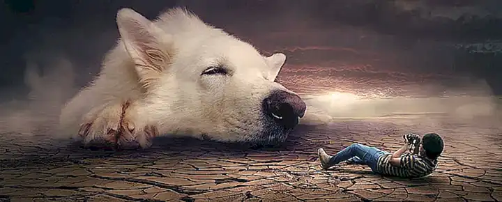 Contexto personal y sueños sobre perros