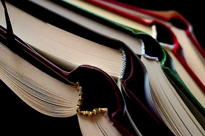 Costos y Formación para Manejar Licencia Tipo B