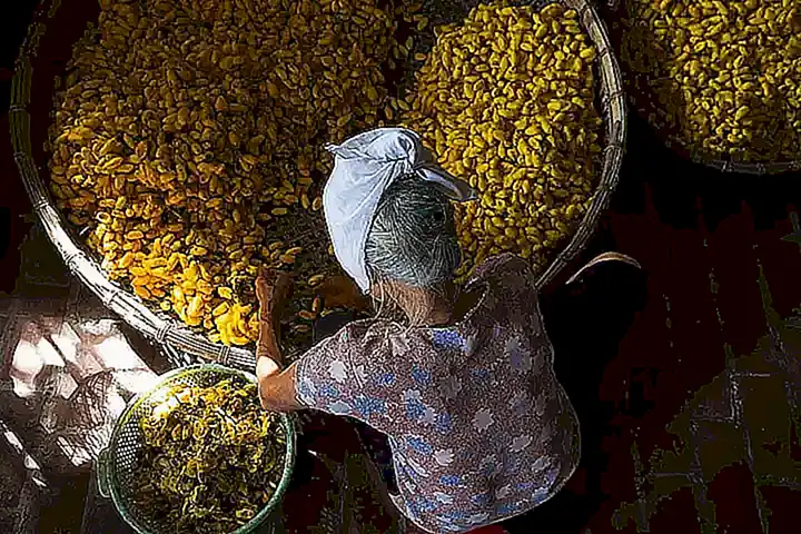 Imagen relacionada con el subtítulo h2: Definición de proceso