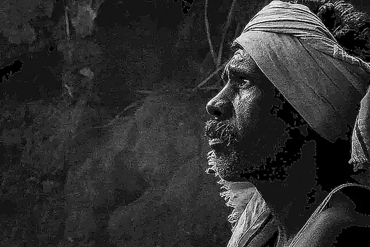 Imagen relacionada con el subtítulo h2: Definición de tribus urbanas