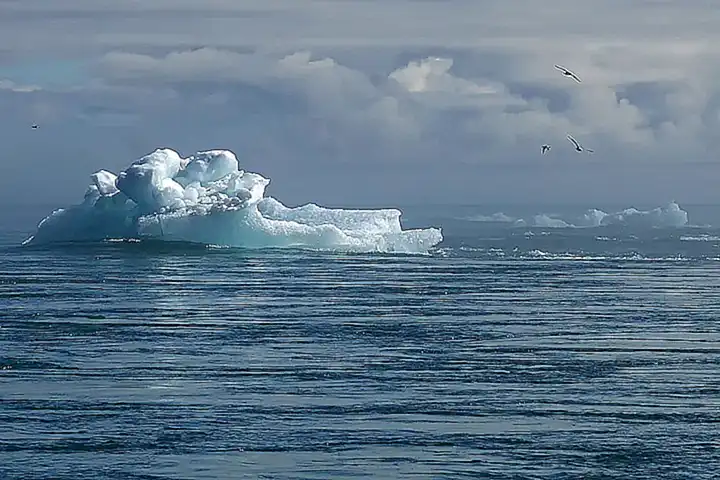 Deseo de Cambio Conductas Negativas