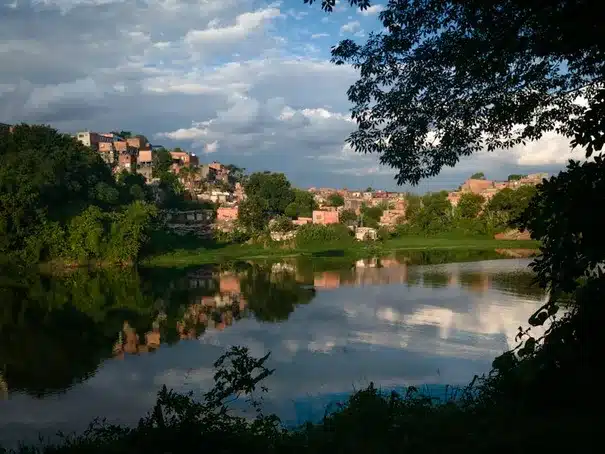 Imagen relacionada con el subtítulo h2: Diferencias clave en hábitat y respiración