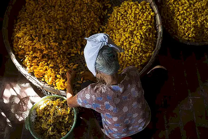 El papel de los sueños en el proceso emocional