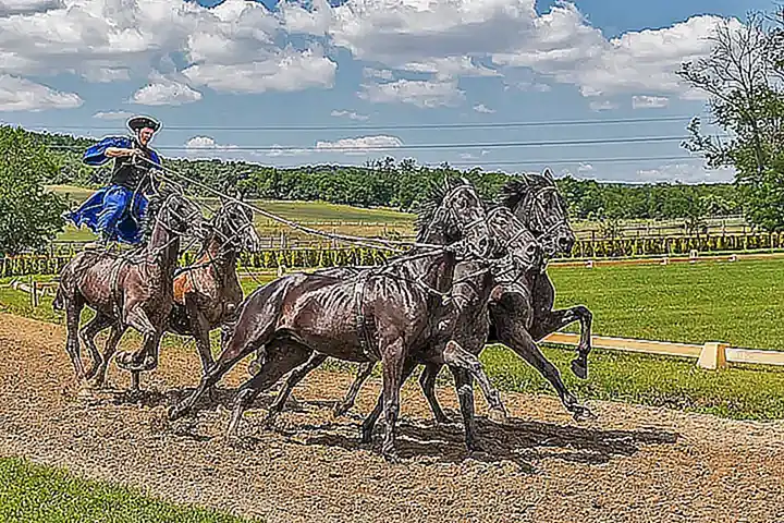 Imagen relacionada con el subtítulo h2: El primer jinete y su caballo blanco