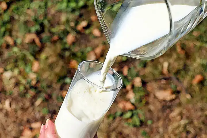 El uso de soñar con la leche como una forma de conexión emocional
