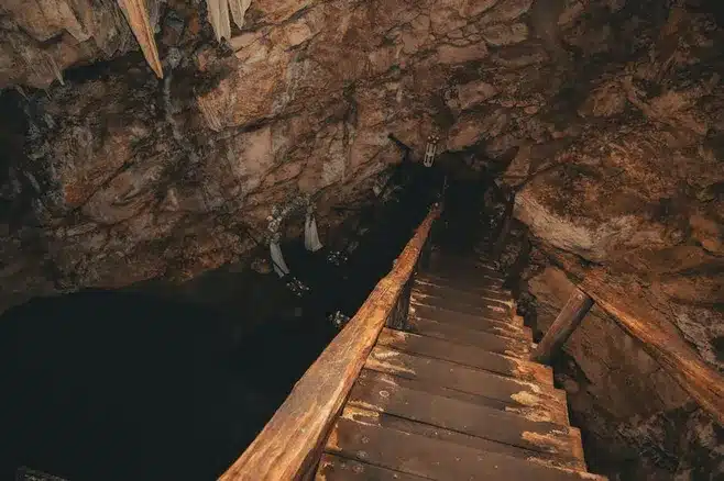 Imagen relacionada con el subtítulo h2: Estructura y formación de estos sustantivos