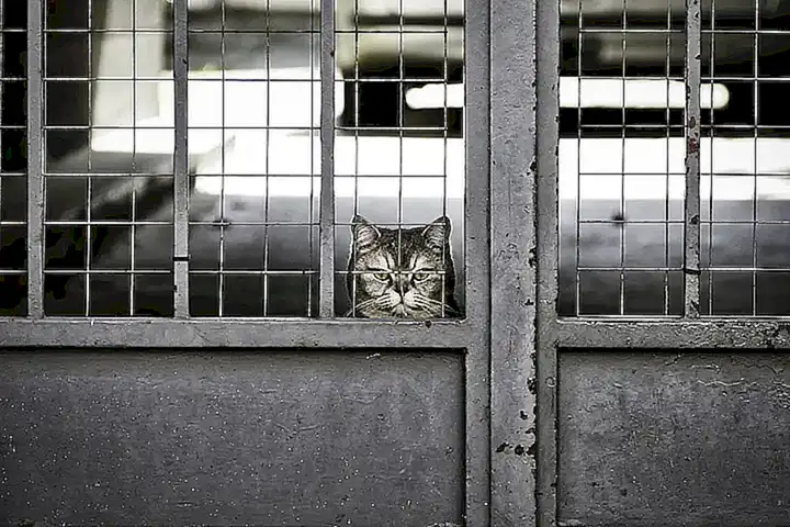 Fomento de la paciencia