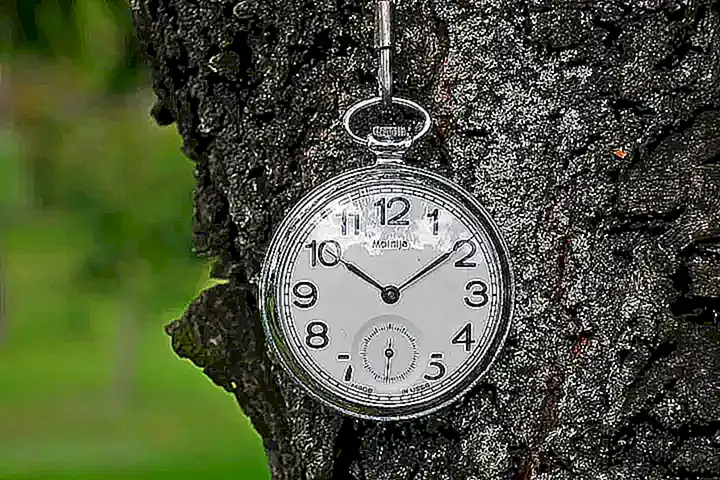 Imagen relacionada con el subtítulo h2: Importancia de las referencias bibliográficas