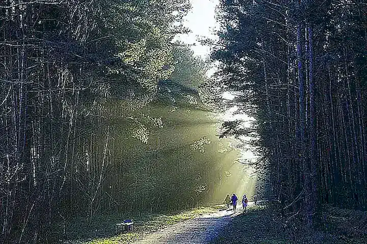 Imagen relacionada con el subtítulo h2: Importancia en relaciones humanas