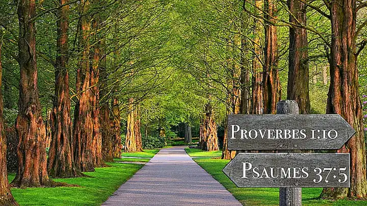 Interpretación bíblica