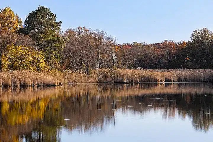 La filantropía como reflejo del número 33