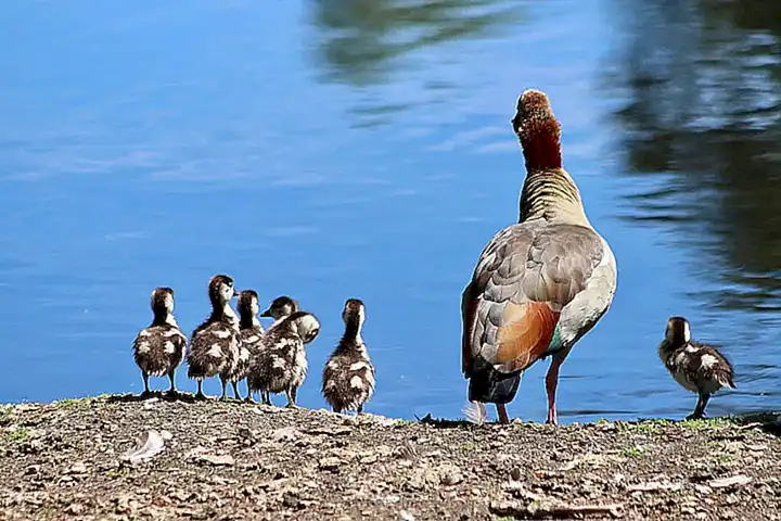 La importancia de la inclusión en la educación