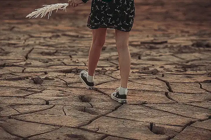 La importancia de las emociones