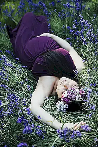 Licencia de maternidad