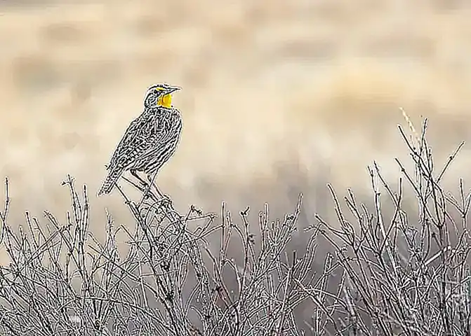 Imagen relacionada con el subtítulo h2: Origen del concepto en la cultura occidental