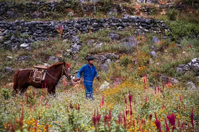 Imagen relacionada con el subtítulo h2: Origen del término 