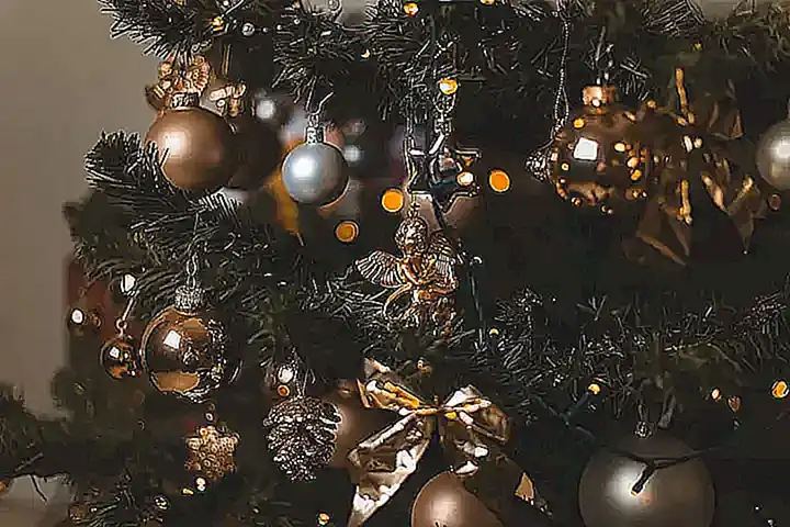Imagen relacionada con el subtítulo h2: Orígenes del árbol de Navidad