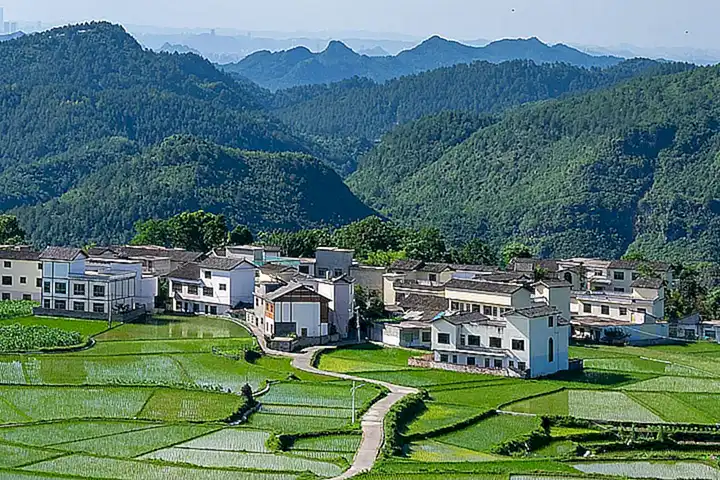 Posicionamiento en zonas permitidas