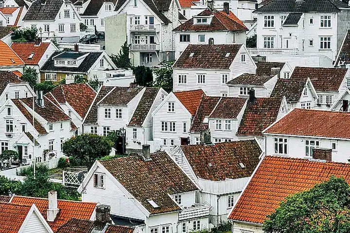 Propiedades Medicinales de la Cocolmeca