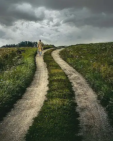 Reflexiones sobre el Viaje hacia la Felicidad