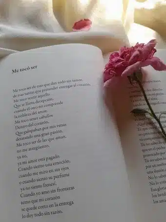 Imagen relacionada con el subtítulo h2: Rimas y poesía en español