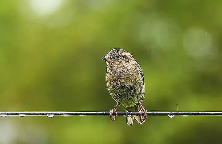 Imagen relacionada con el subtítulo h2: Tipos de vulnerabilidades